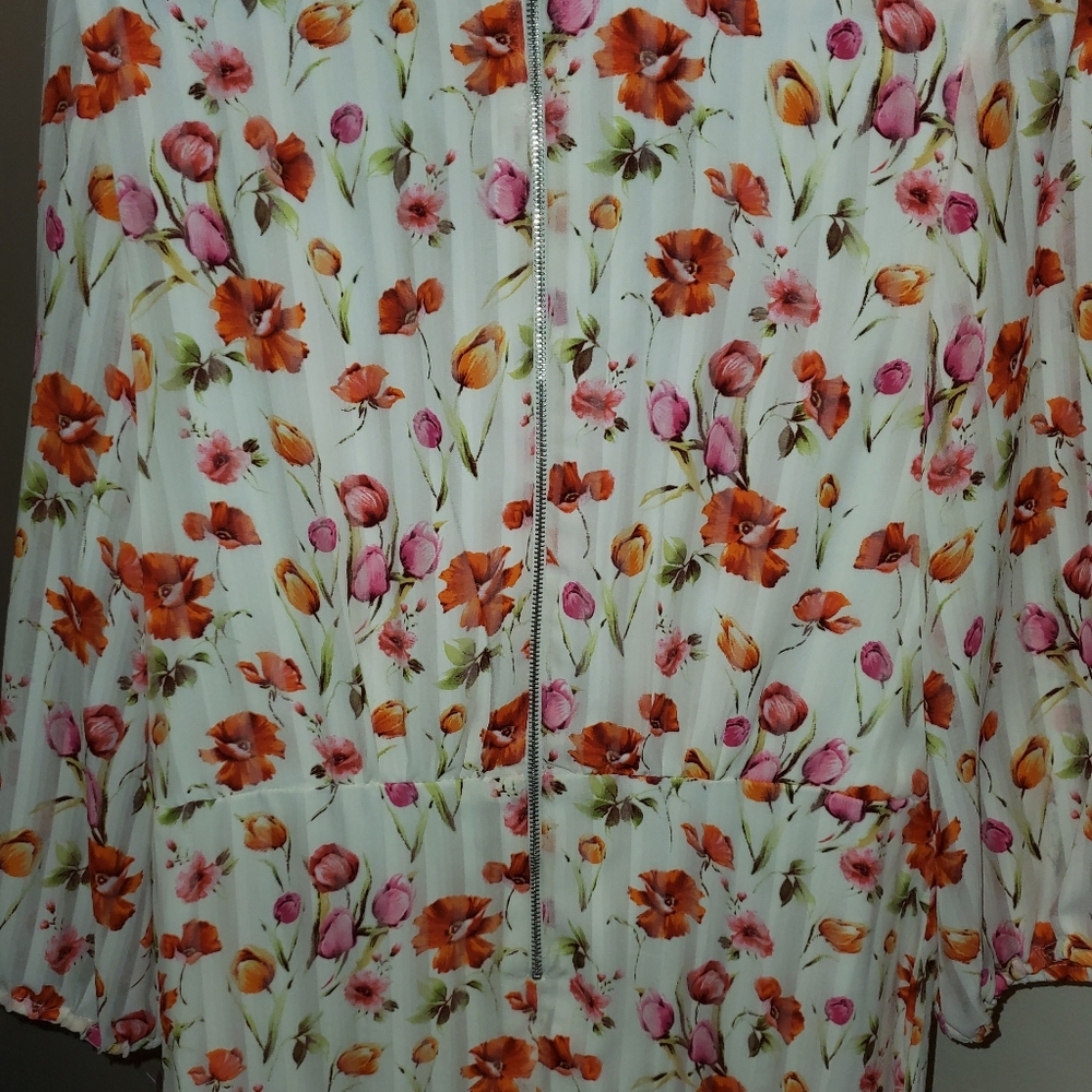 Clothes - Picture 2 of 4